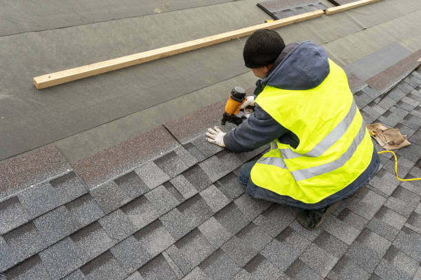 Best Roof Gutter Cleaning  in O, MI