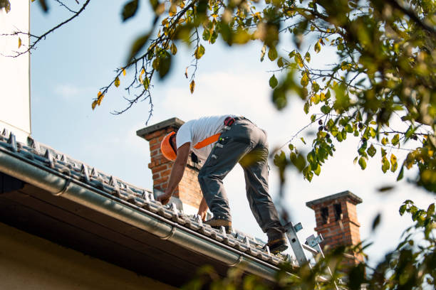 Quick and Trustworthy Emergency Roof Repair Services in Mio, MI