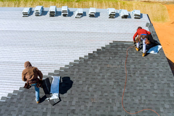 Roof Gutter Cleaning in Mio, MI