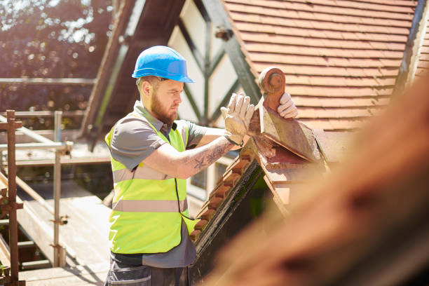Best Roof Repair Services  in O, MI